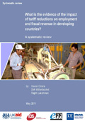 What is the evidence of the impact of tariff reductions on employment and fiscal revenue in developing countries?